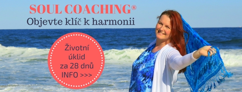 28denní Soul Coaching česky