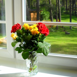 Roses