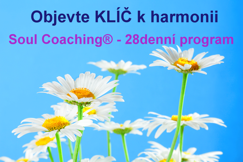 Kopretiny master - Copy